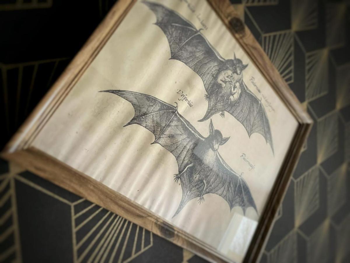 New - Bat'Appart - Dijon - Insolite Longvic المظهر الخارجي الصورة